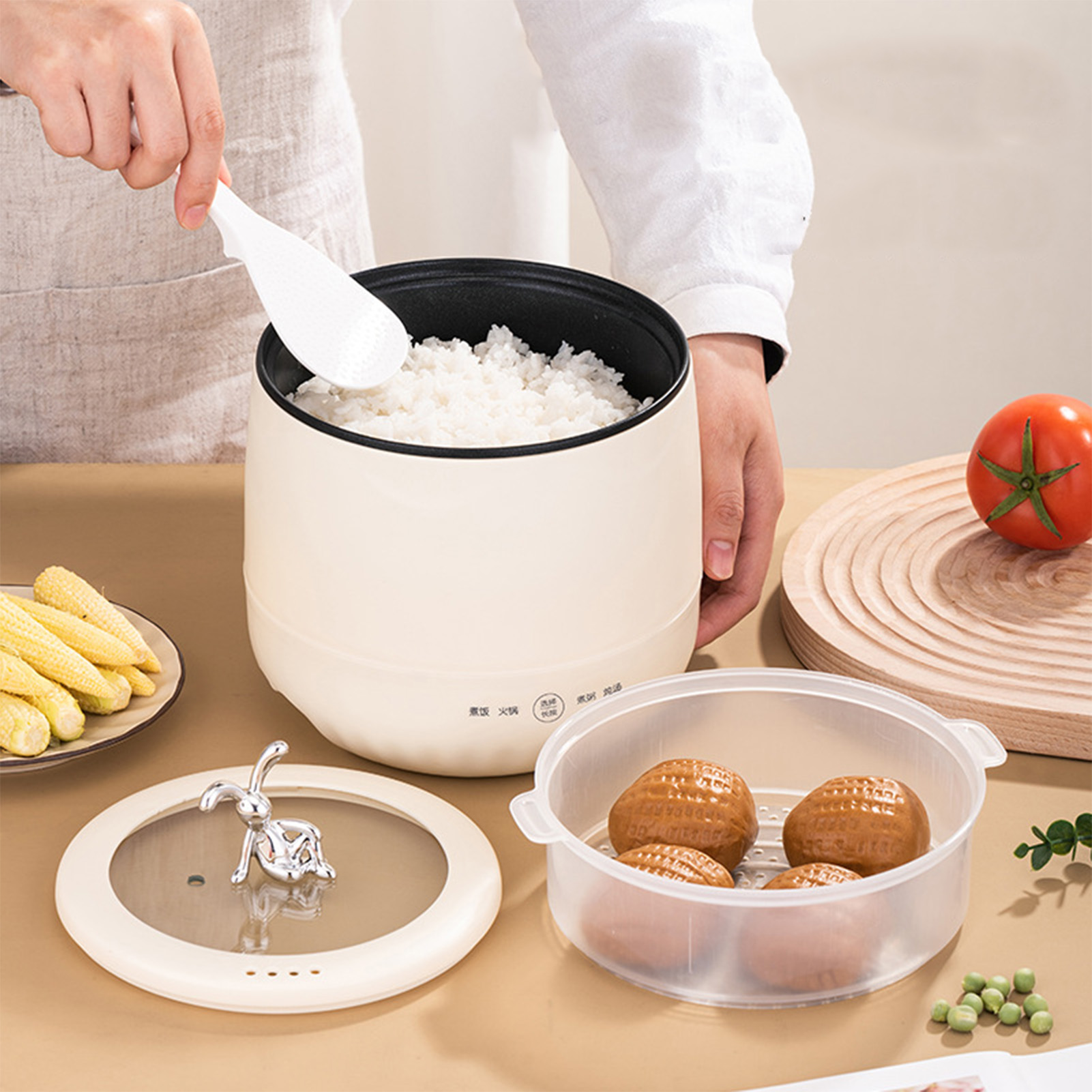 Mini cuiseur à riz électrique  - Meal Prep With Rice avis et prix