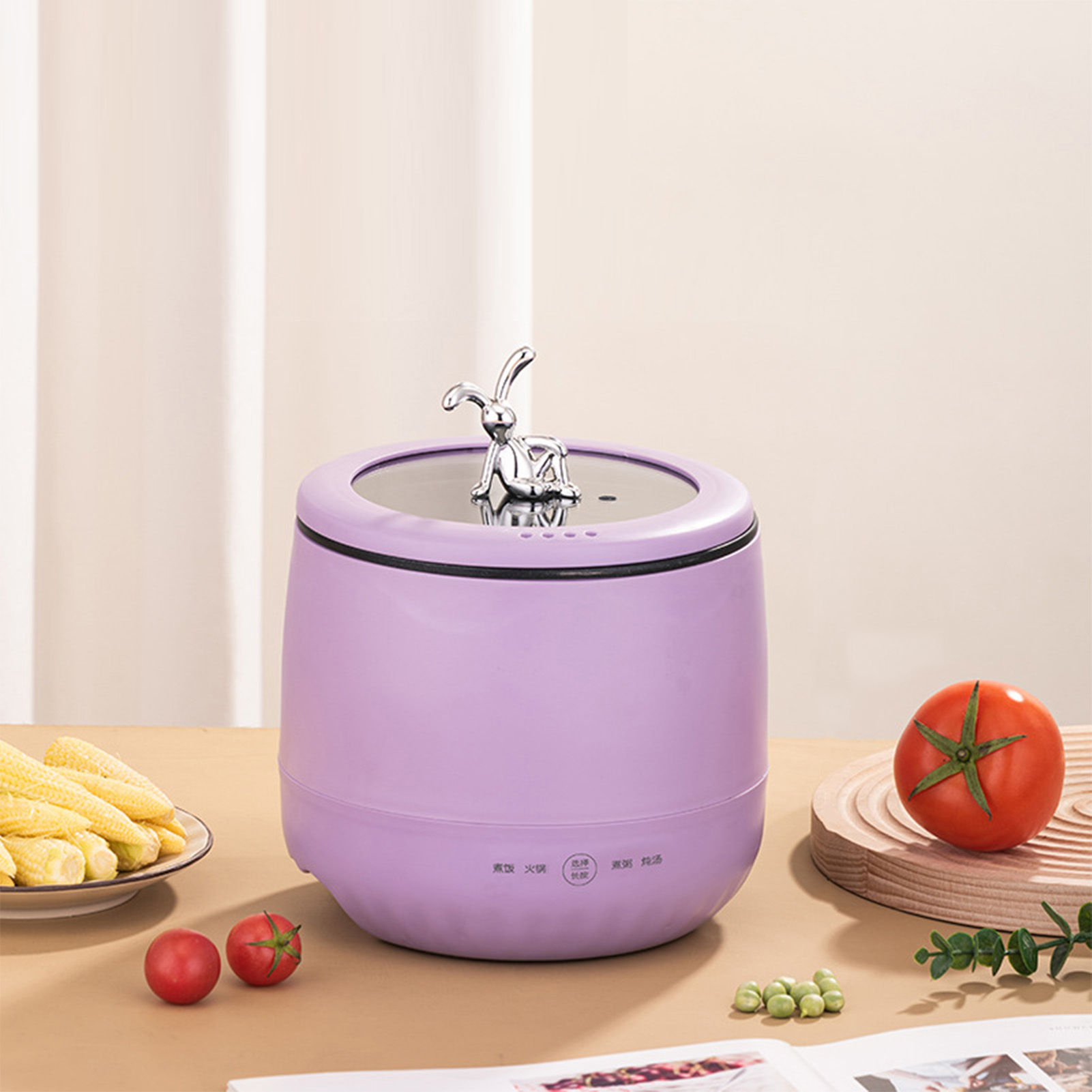 Mini cuiseur à riz électrique  - Meal Prep With Rice avis et prix