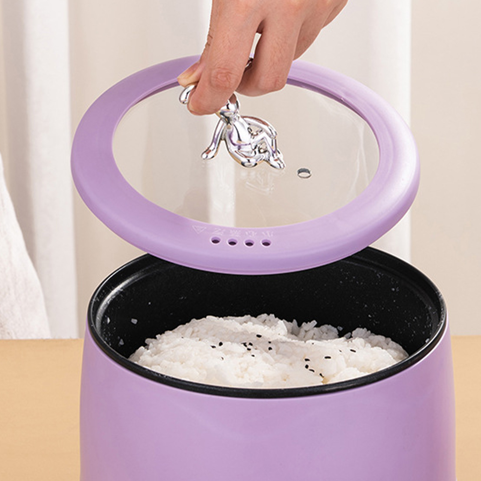 Mini cuiseur à riz électrique  - Meal Prep With Rice avis et prix